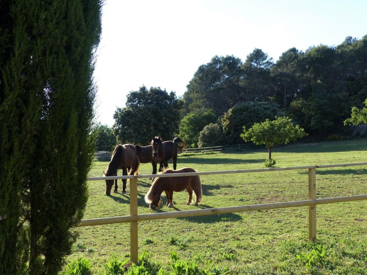 Domaine Des Bruguieres Villa Entrecasteaux Exterior photo